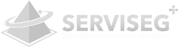 Serviseg